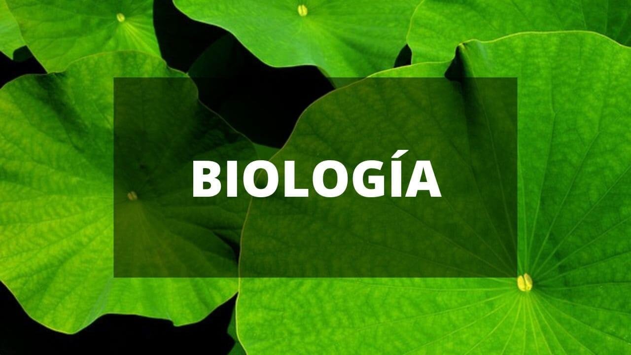 Libros De Biolog A Pdf Gratis