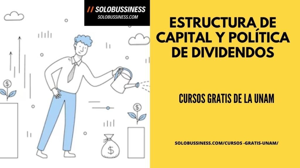 Estructura de capital y política de dividendos