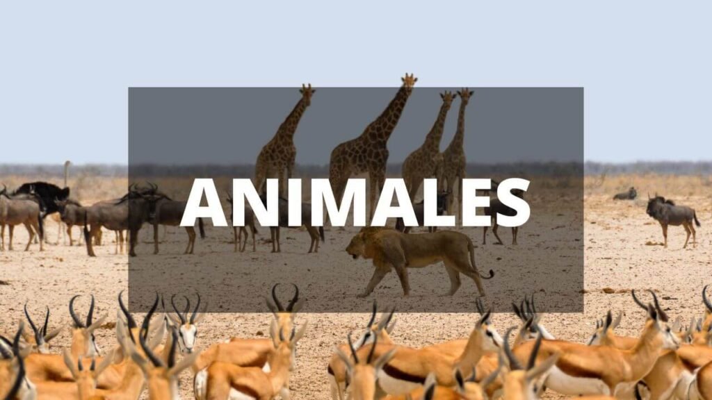 Grupo de animales en su habitat natural
