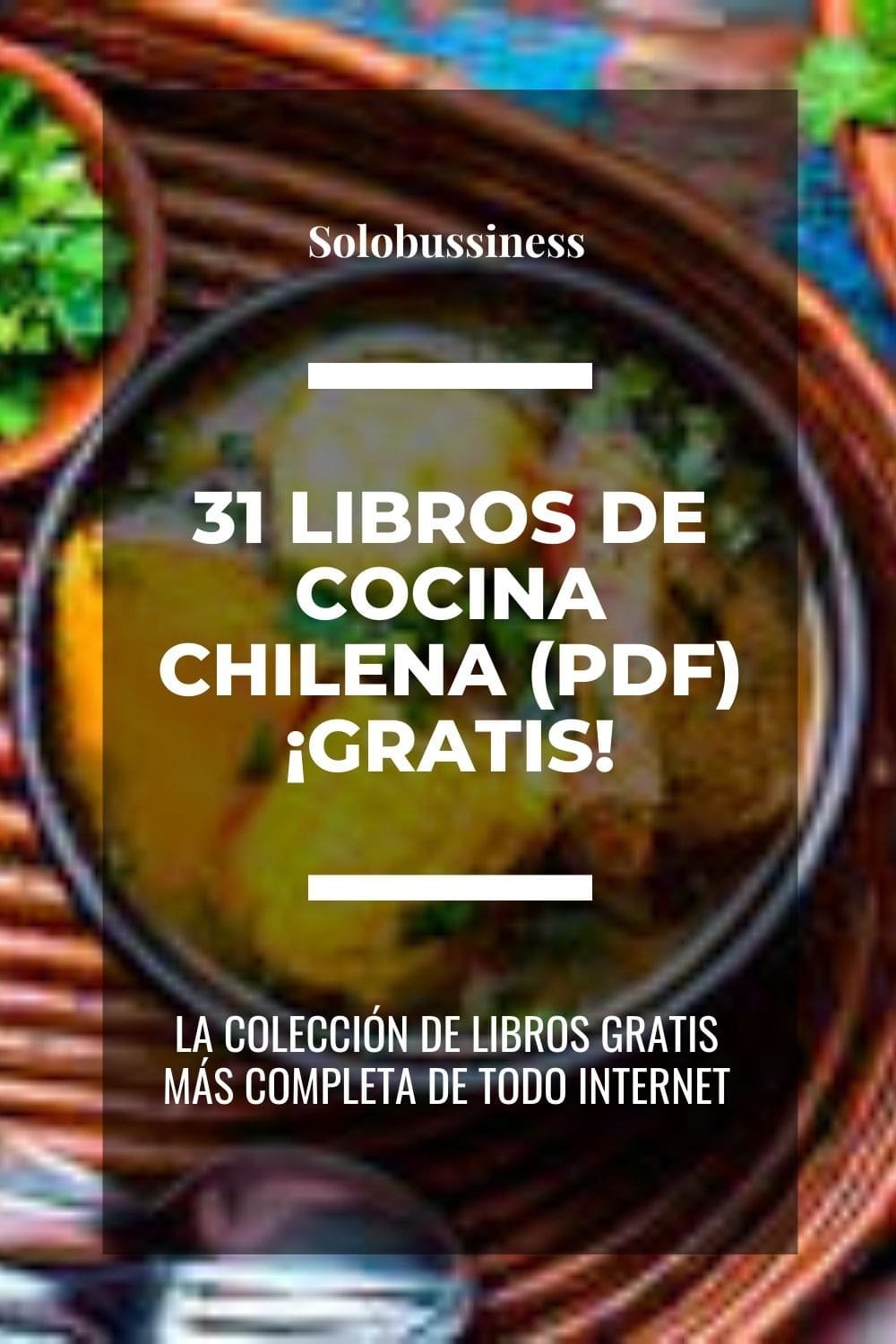 Libros de Cocina Chilena en formato pdf