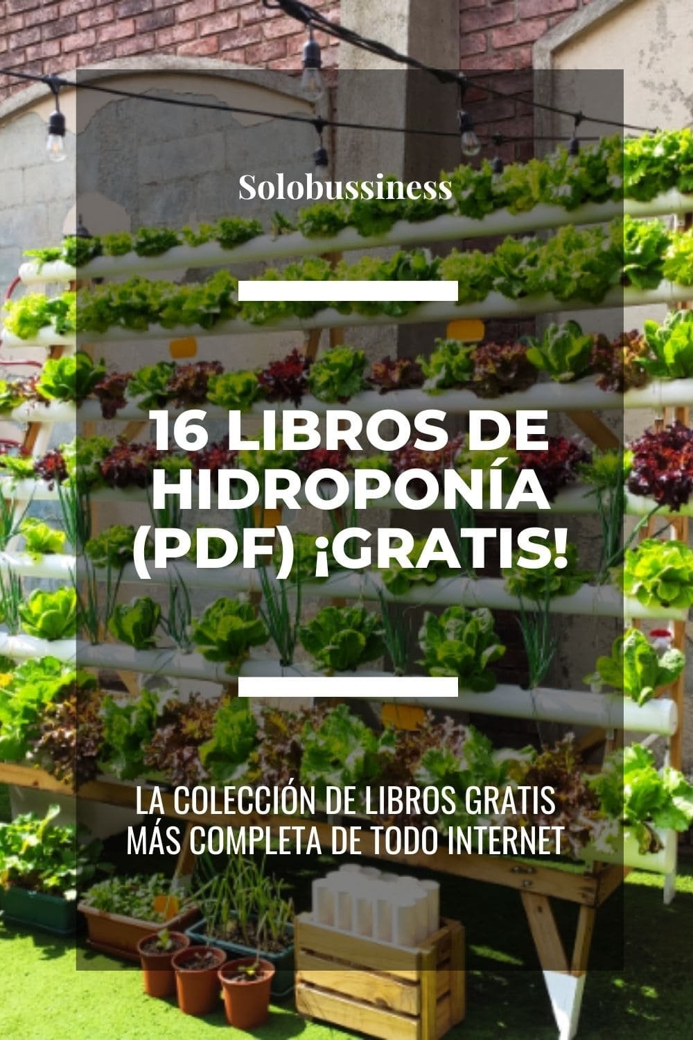 Libros de Hidroponía en formato pdf