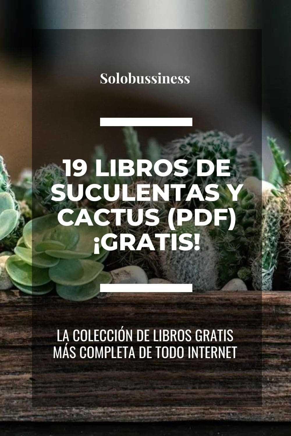 Libros de Suculentas y cactus en formato pdf