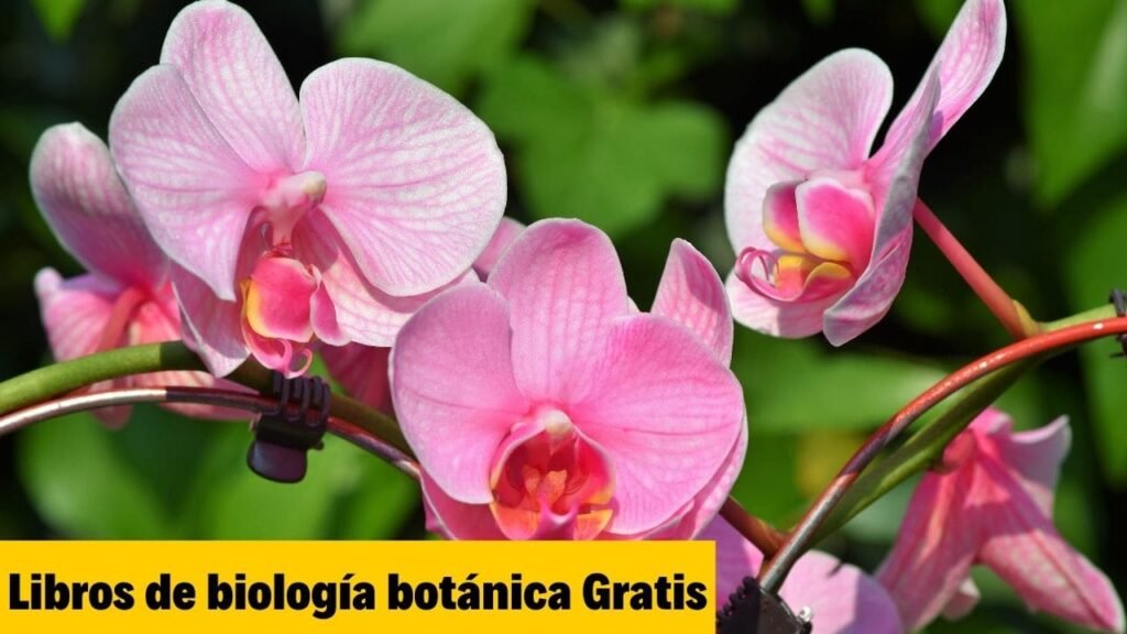 Libros de biología botánica Gratis